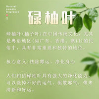 碌柚香线香净化空气接好运柚叶绿柚香广东柚子叶天然净化招财熏香