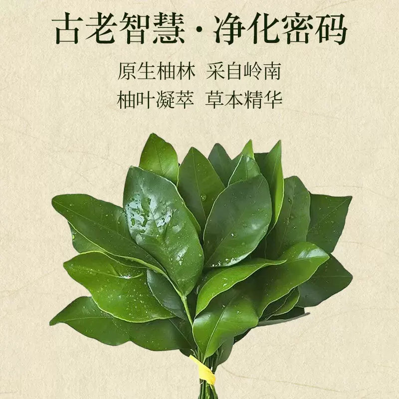 碌柚叶线香绿柚子叶阿根廷香薰迎好運转運财库香家用净化净宅磁场