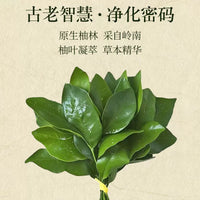 碌柚叶线香绿柚子叶阿根廷香薰迎好運转運财库香家用净化净宅磁场