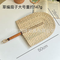 Seagrass Wall Fan
